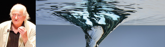 Mercredi 18 janvier 2012 - Jacques Collin : L'eau-delà de l'eau. De l'autre côté du miroir de l'eau.