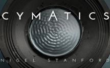 Cymatics : Science Vs. Music from Nigel Stanford
