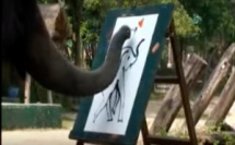 Des œuvres d'art créées par des éléphants